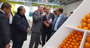 Algérie à Fruit Logistica 7